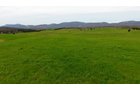 Property photo 17 - LAND AUCTION - 533+/- ACRES OFFERED IN 5 TRACTS IN HARDY COUNTY, WEST VIRGINIA